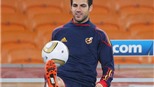 Fabregas tự hào là một "Pháo thủ"
